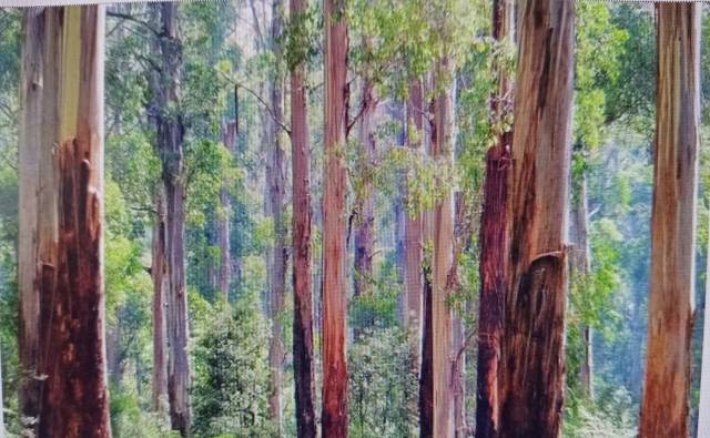 Terreno en Venta en LU-530 en San Roque - As Fontiñas