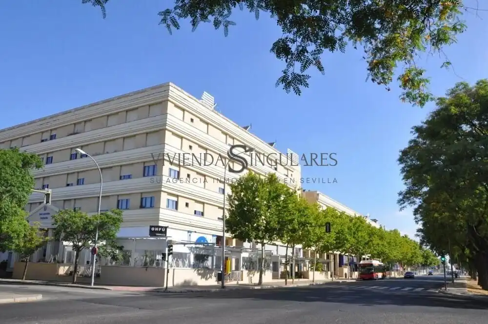 Vista exterior de Estudio en venta en Sevilla con Aire acondicionado, Calefacción y Jardín privado