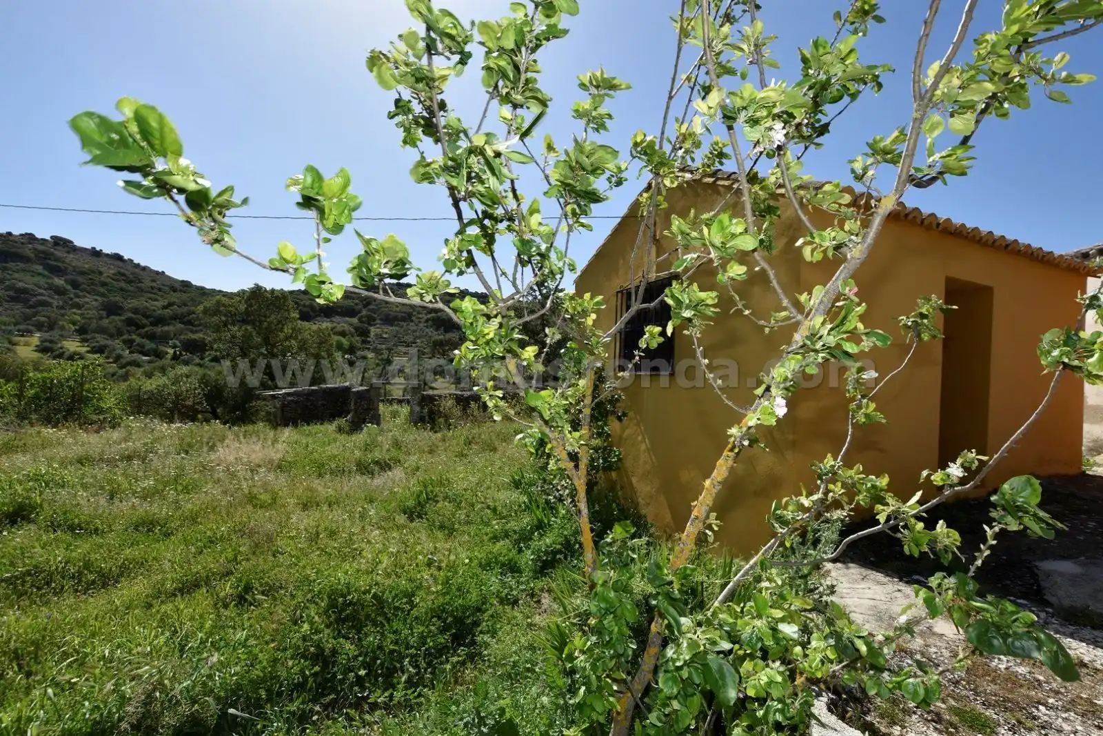 Finca rústica en venda en Ronda