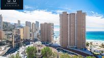 Vista exterior de Estudi en venda en Benidorm amb Aire condicionat, Calefacció i Jardí privat