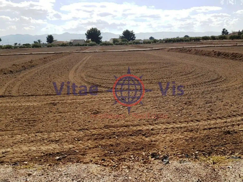 Terreny residencial en venda a Poligono 185 Paraje 3314 El Salar