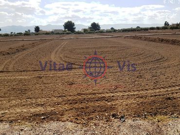 Terreno residencial en venta en Poligono 185 Paraje 3314 El Salar