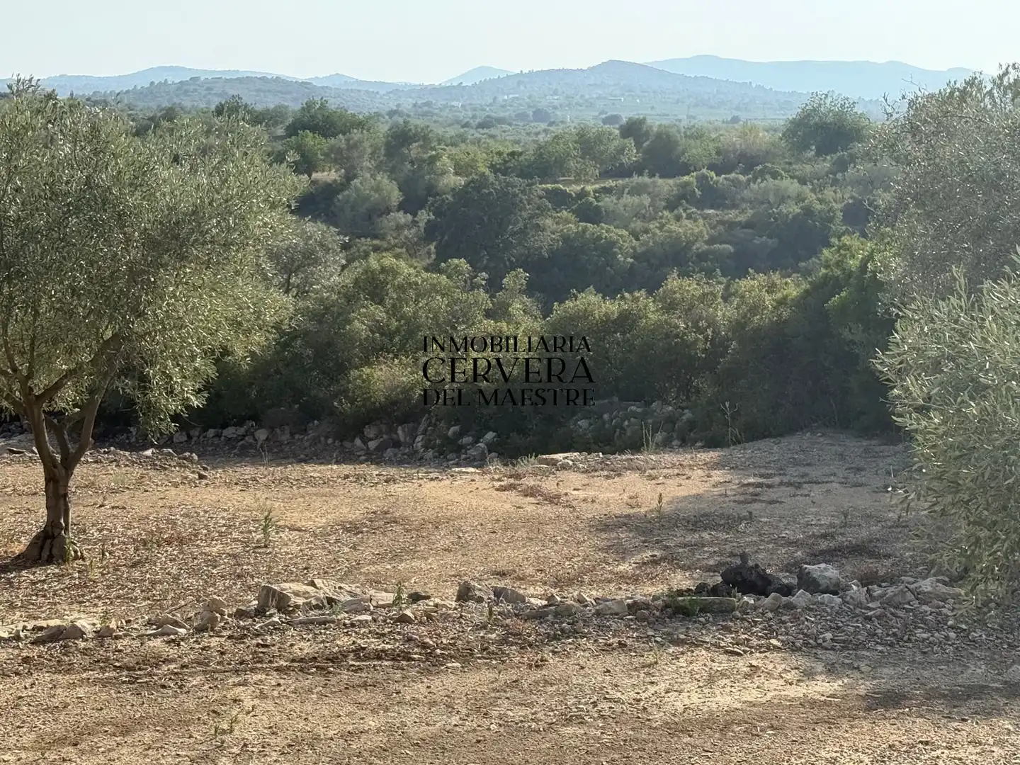 Terreno rustico in vendita a Cervera del Maestre, imagen 6