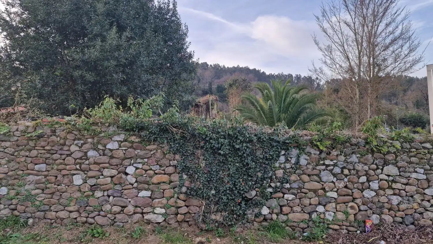 Terreni e lotti in vendita a Cerezo - Aspla - Torres, imagen 12