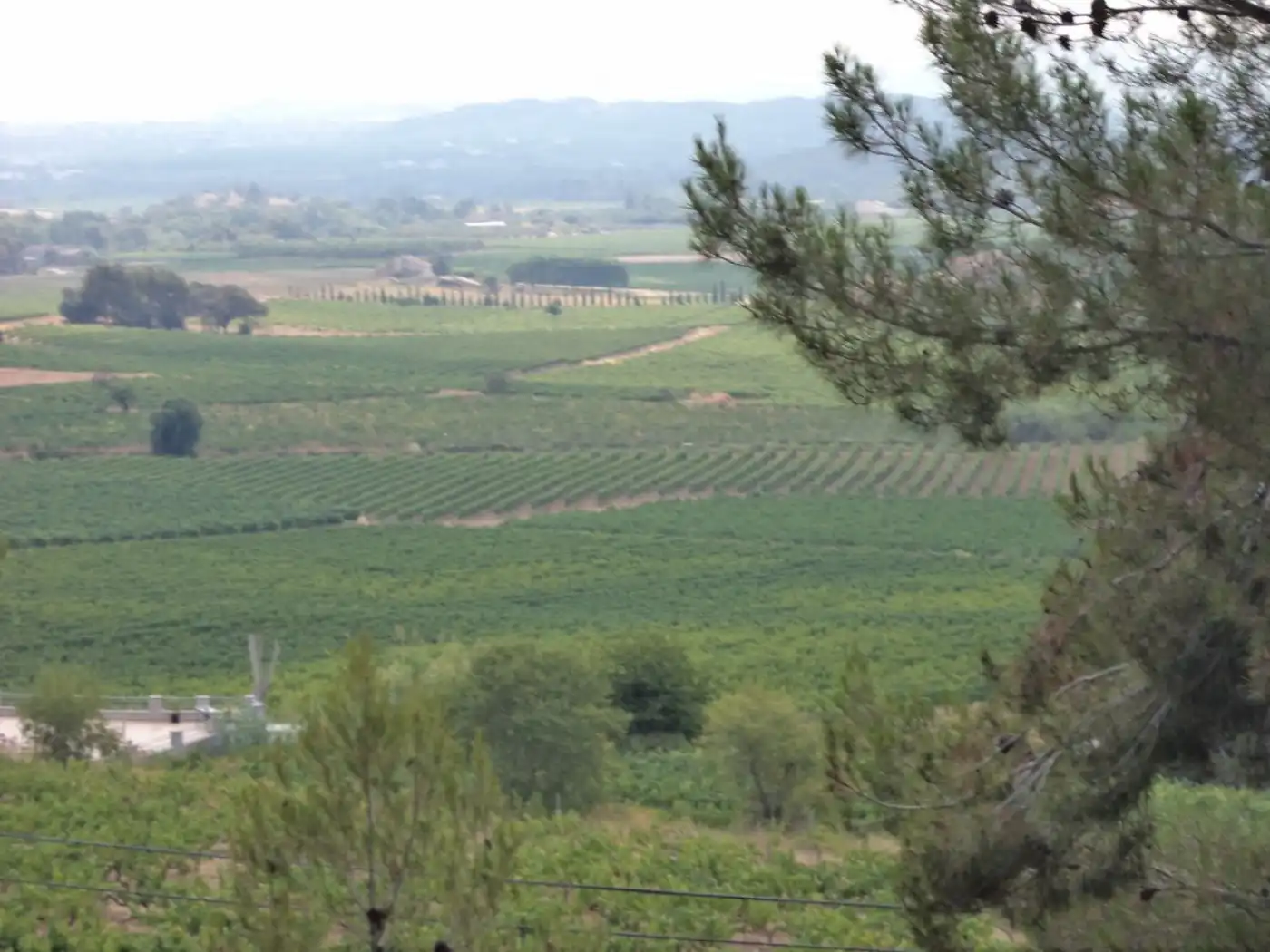Vista exterior de Residencial en venta en Torrelles de Foix