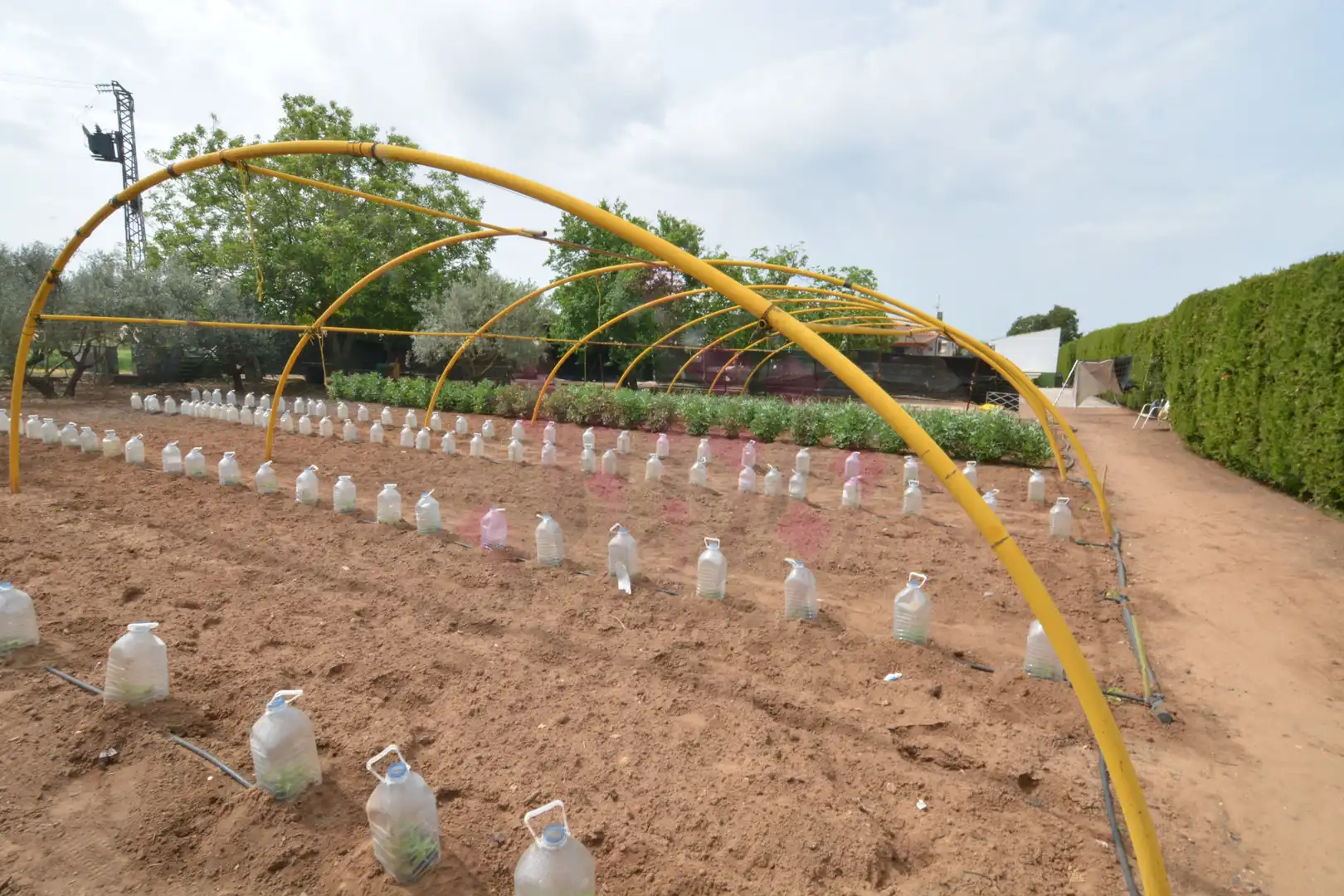 Jardí de Casa o xalet en venda en Ciudad Real amb Aire condicionat, Calefacció i Jardí privat
