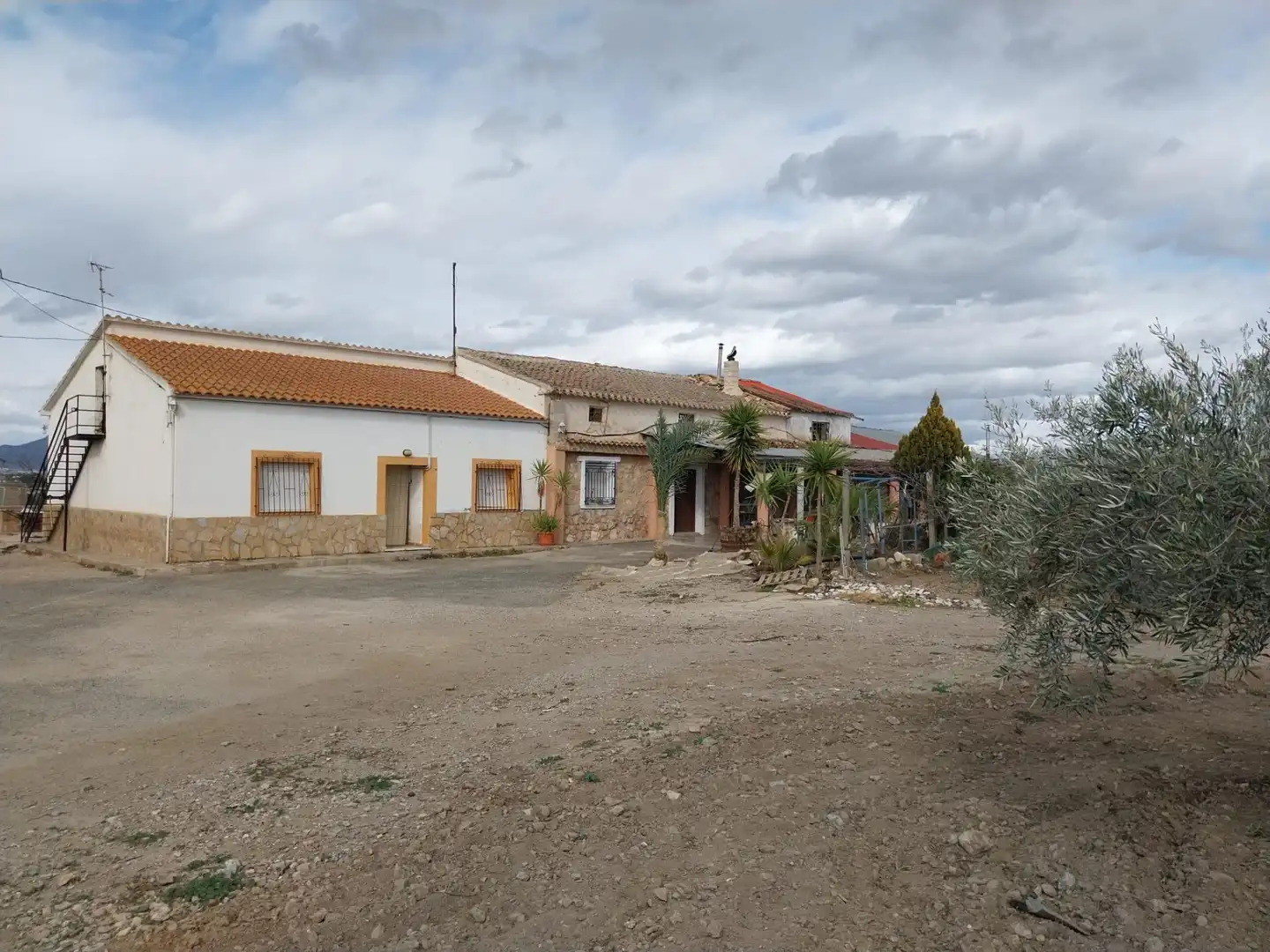 Vista exterior de Finca rústica en venta en Murcia