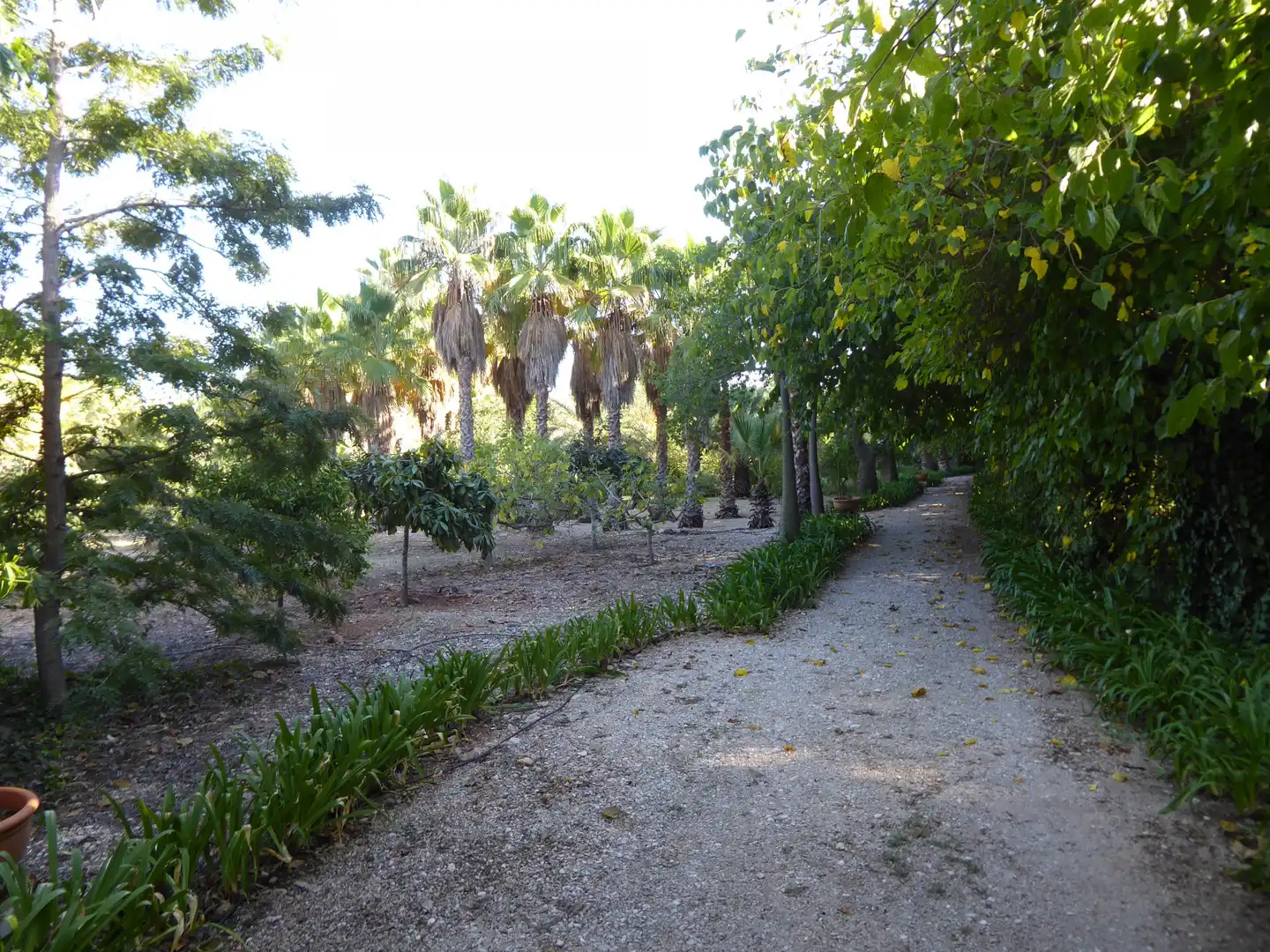Jardí de Casa o xalet en venda en Beniarbeig