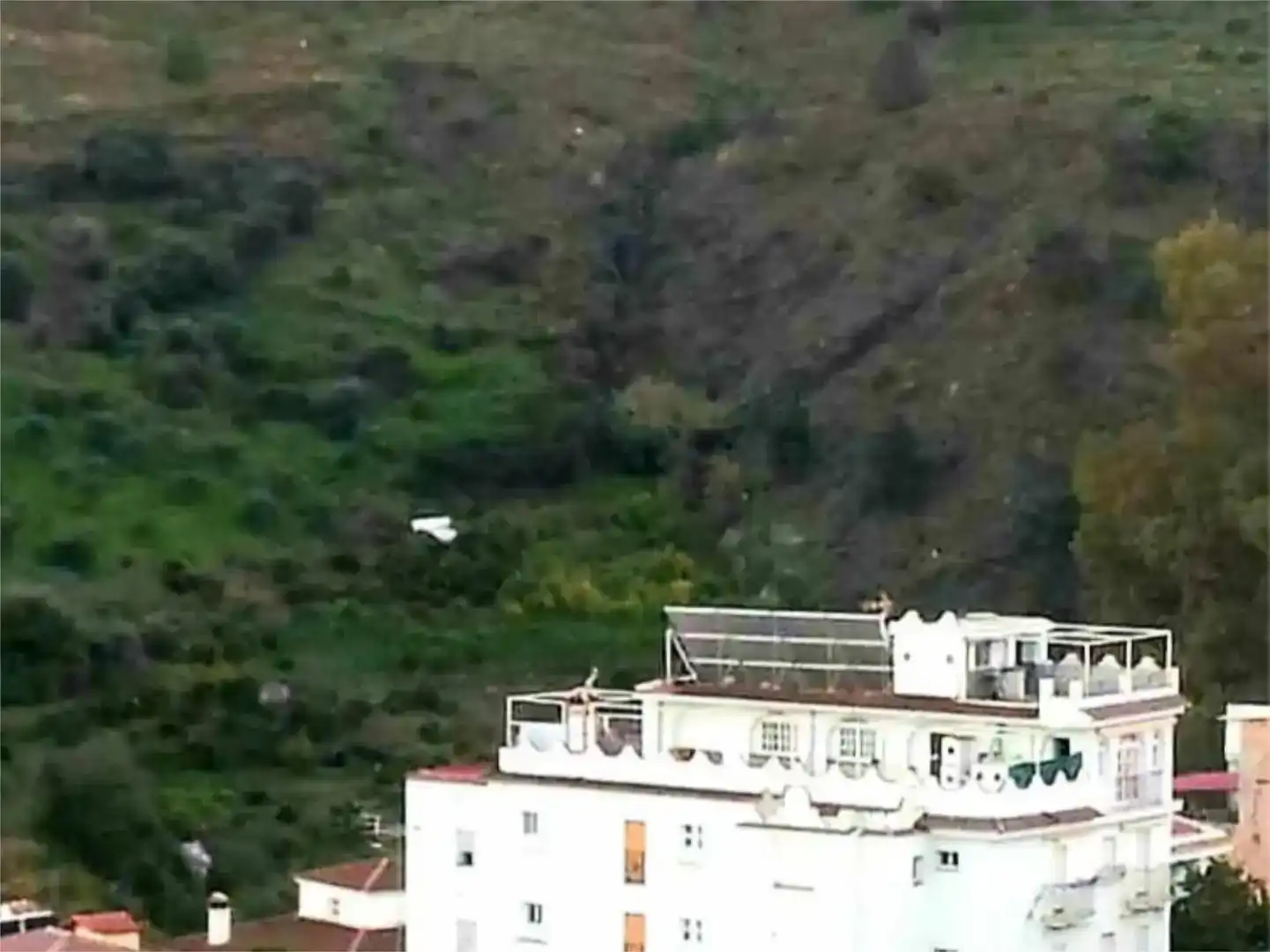 Vista exterior de Pis en venda en Tolox amb Jardí privat, Traster i Moblat