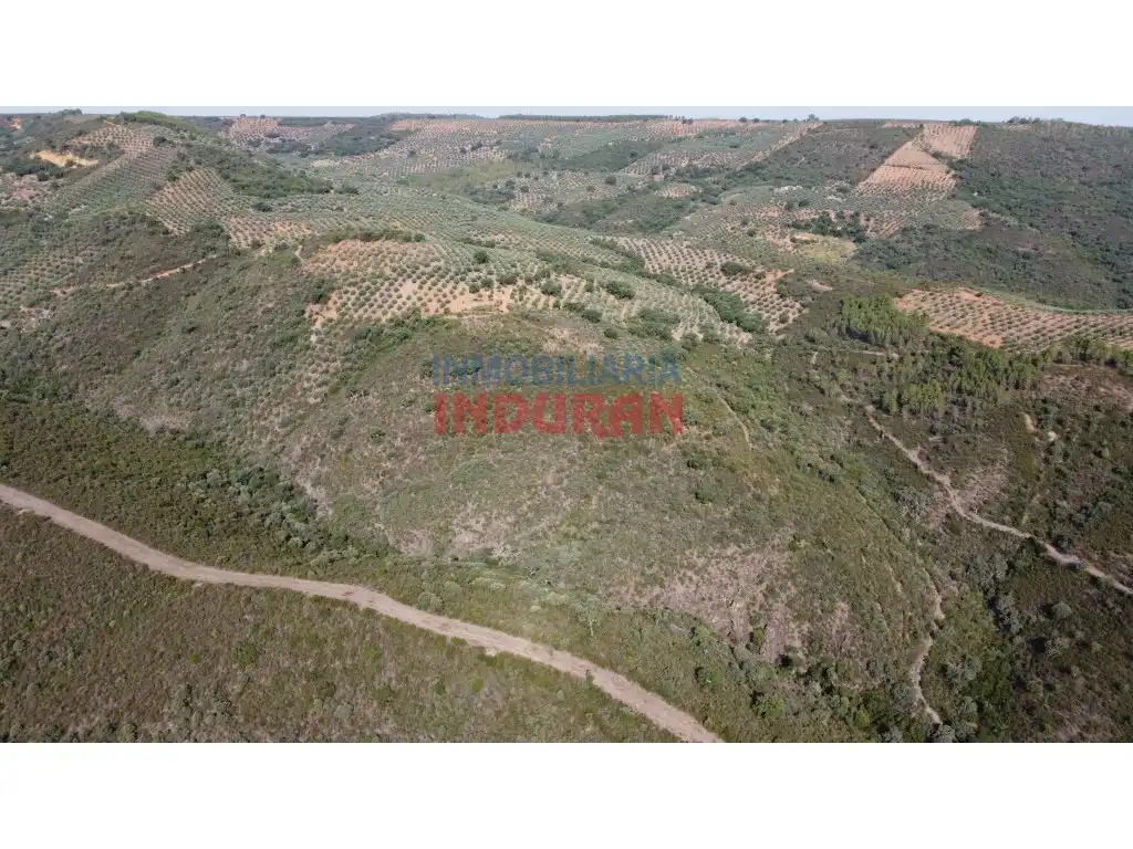 Country homes for sale in Mesas de Ibor