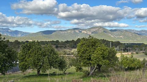 Photo 2 of Land for sale in Carretera Marratxí, Marratxinet, Marratxí