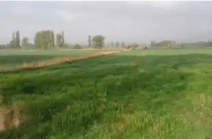 Land for sale in Paraje Los Rompidos, Villarquemado