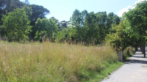 Parcelas edificables en Gualba – Ultima unidad - suelo plano, sol, naturaleza y opción de 2 viviendas en el Montseny, immagine 4