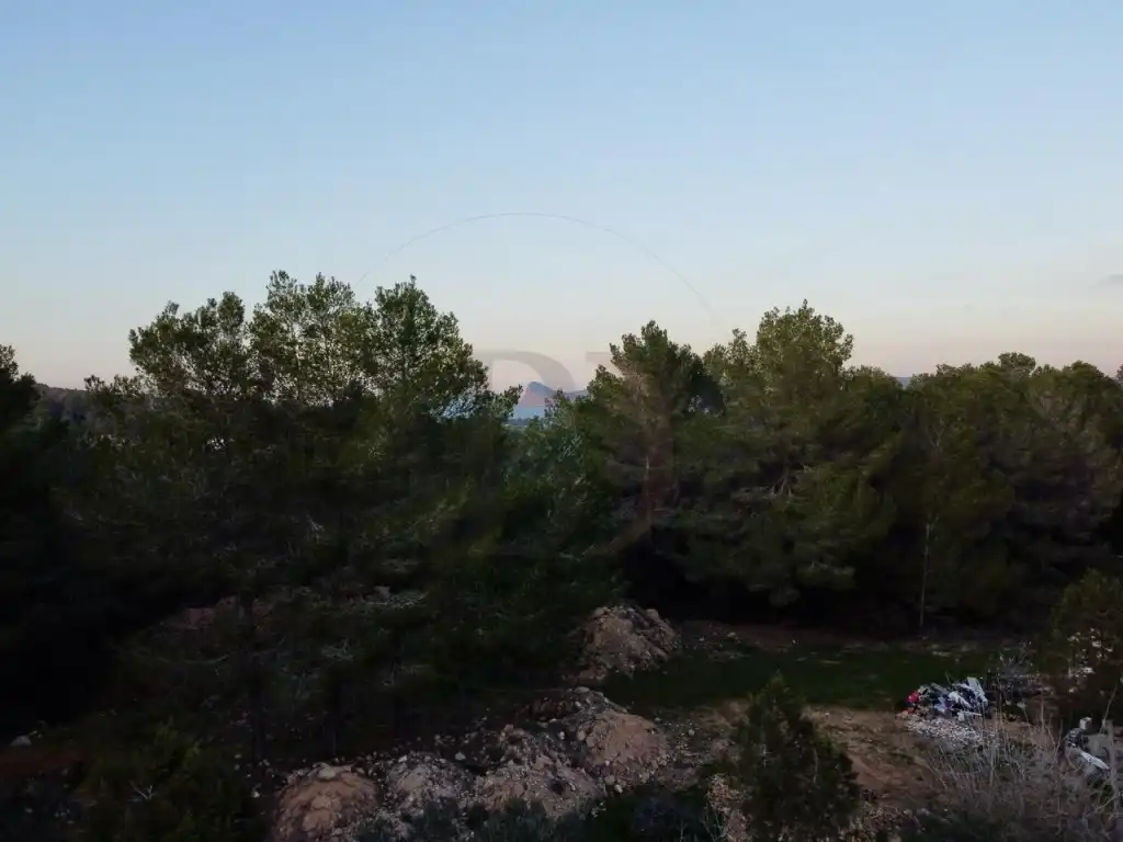 Houses for sale in Sant Josep de sa Talaia  with Private garden