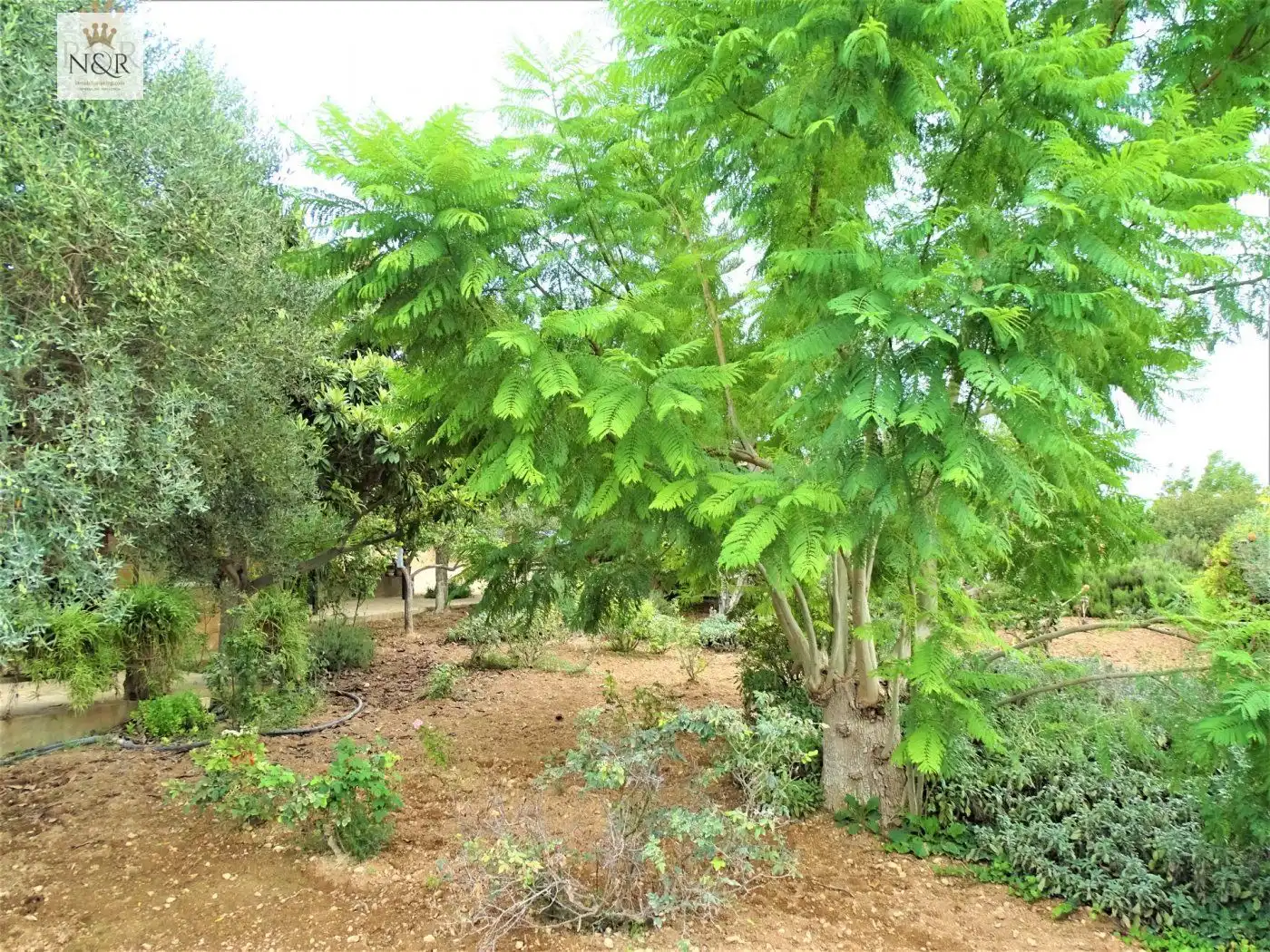 Jardí de Finca rústica en venda en Inca amb Aire condicionat, Calefacció i Jardí privat