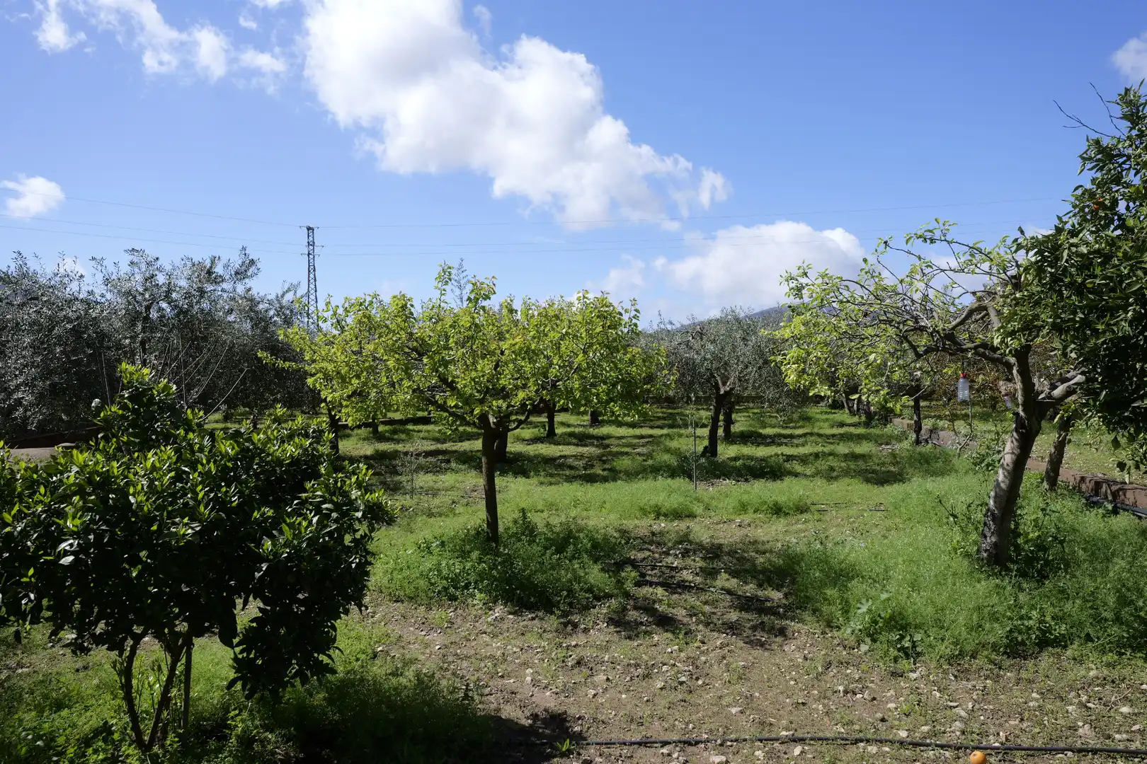 Houses for sale in Berja  with Air Conditioner, Private garden and Terrace