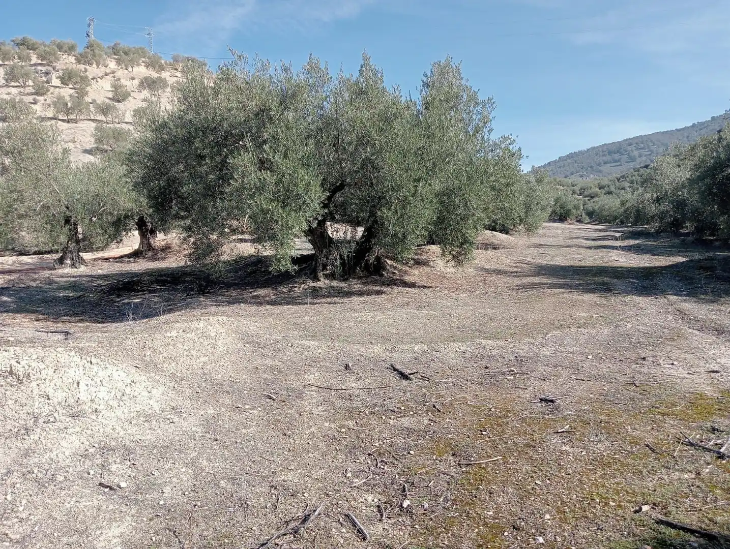 Terreni e lotti in vendita a Puente Jontoya - Puente de la Sierra - El Arroyo, imagen 5