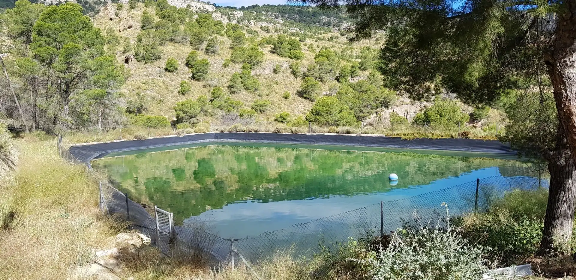 Piscina de Casa o chalet en venta en Aledo con Terraza y Trastero