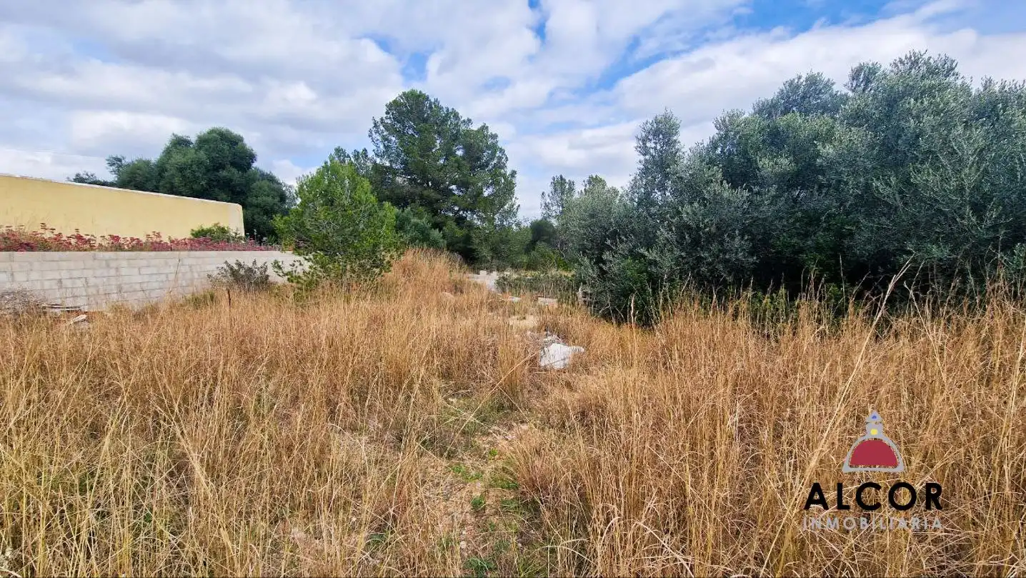 Finca rústica en venda en Benicarló