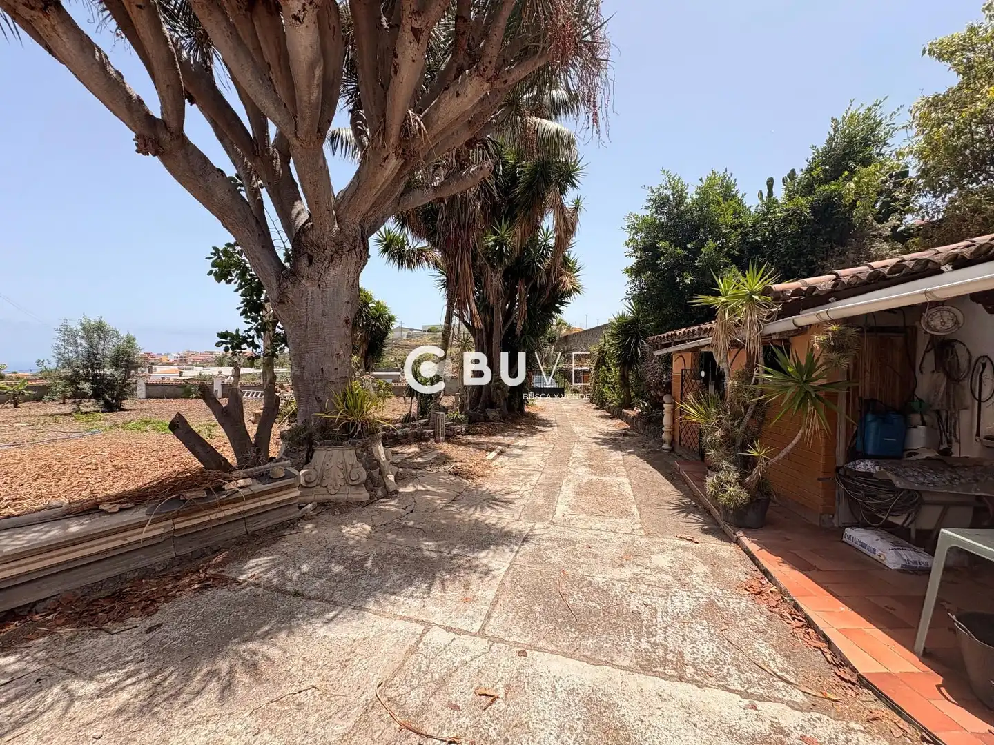 Vista exterior de Casa o xalet en venda en Icod de los Vinos pueblo