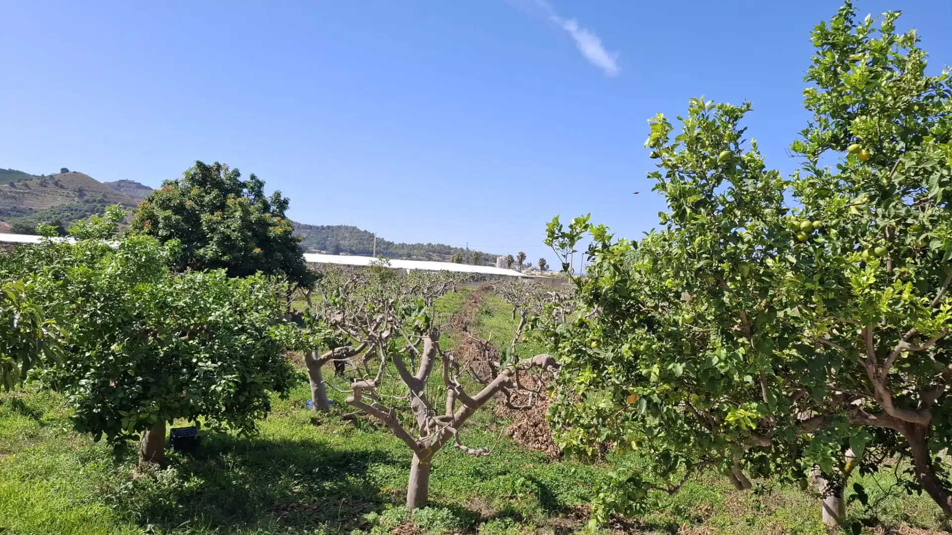 Land for sale in Torrenueva Costa