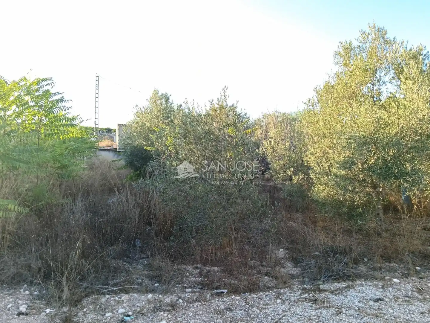 Detached house with garden for sale in Pedanías Este, imagen 13