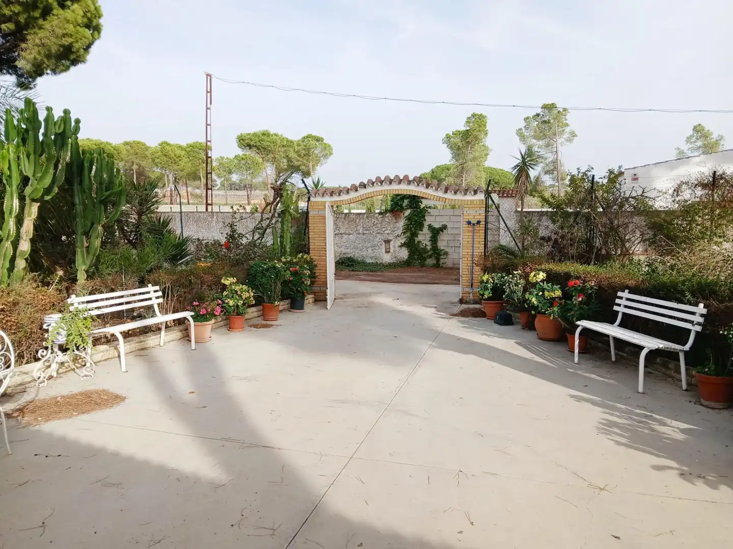 Casa rústica amb jardí en venda a Bonares, imagen 11