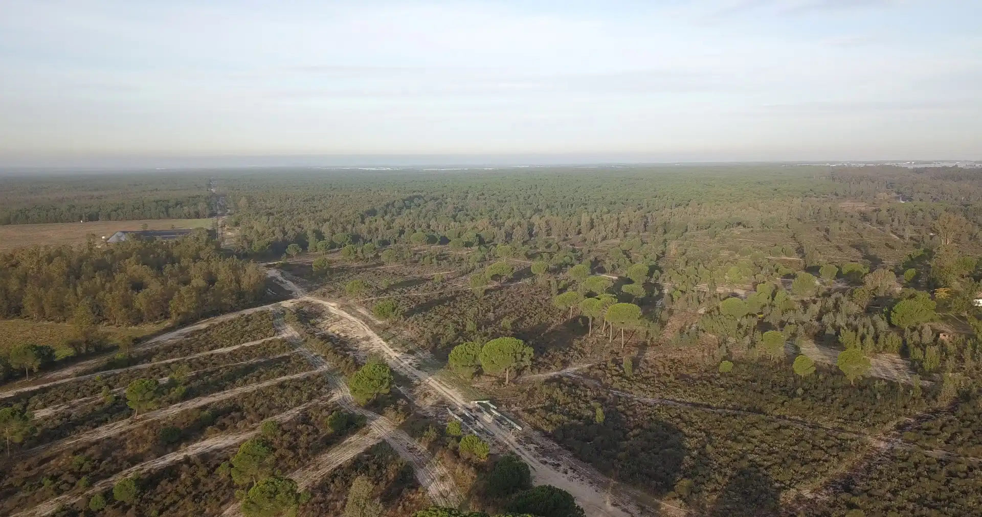 Finca rústica en venda en Almonte