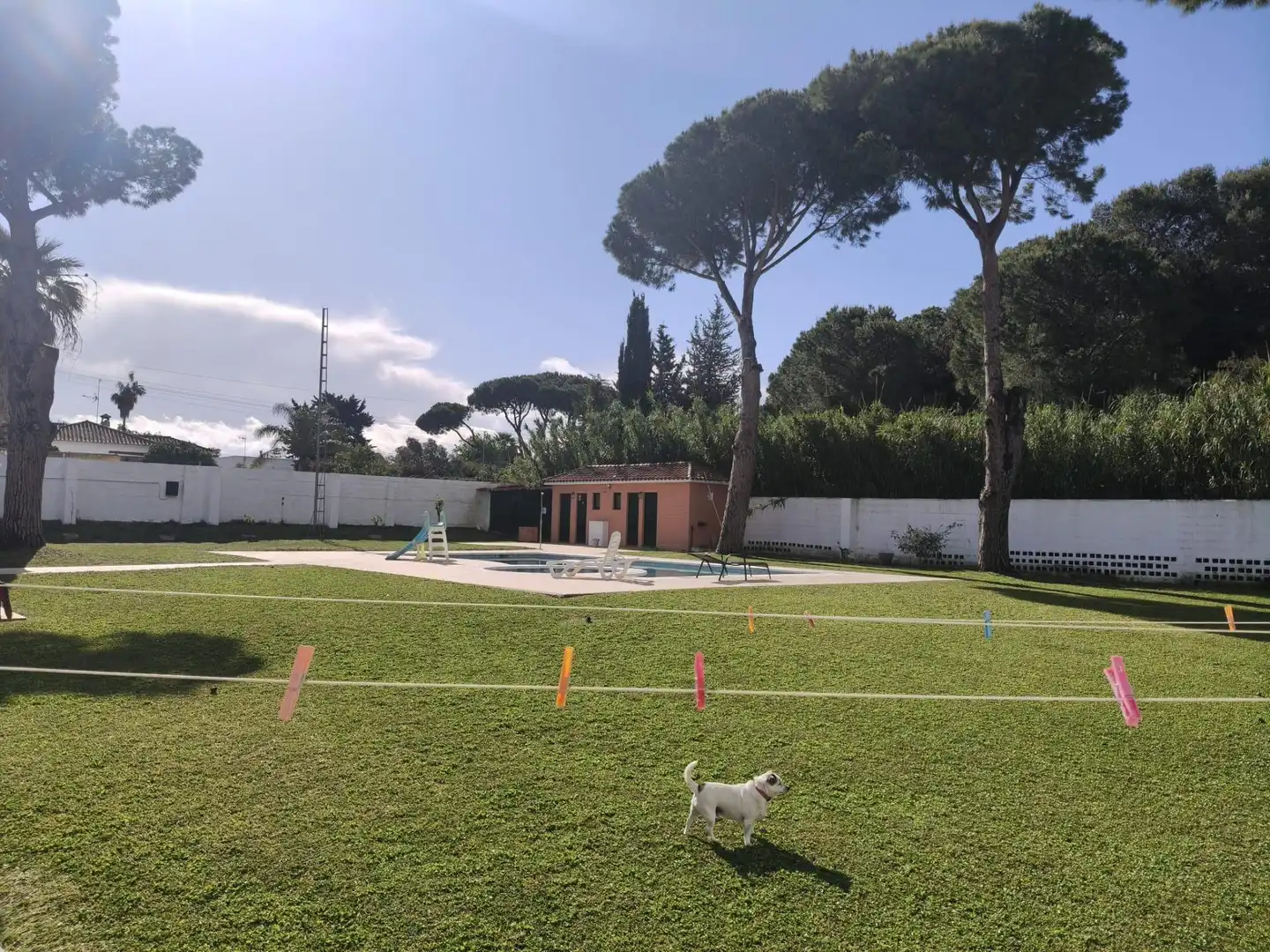 Jardí de Casa o xalet en venda en Chiclana de la Frontera amb Aire condicionat, Jardí privat i Traster