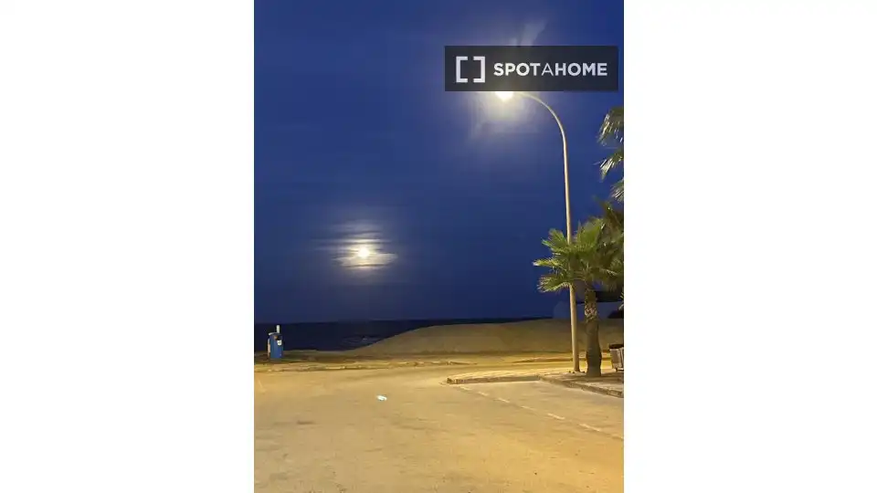 Piso con terraza en alquiler en Tavernes de la Valldigna, imagen 16
