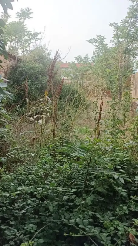 Residencial en venda en El Molar (Madrid)