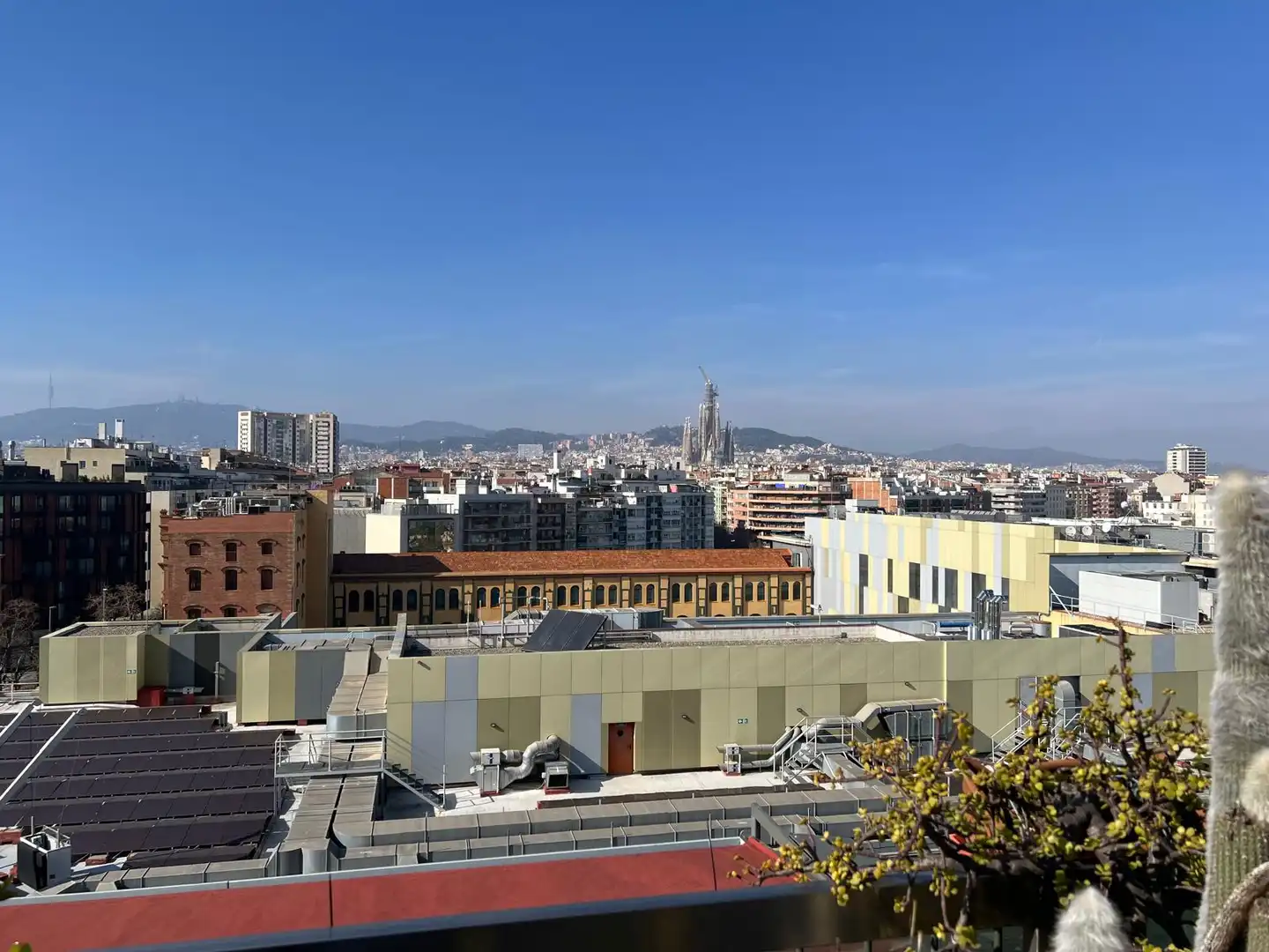 Dachboden zum Verkauf in Carrer dels Almogàvers, El Parc i la Llacuna del Poblenou