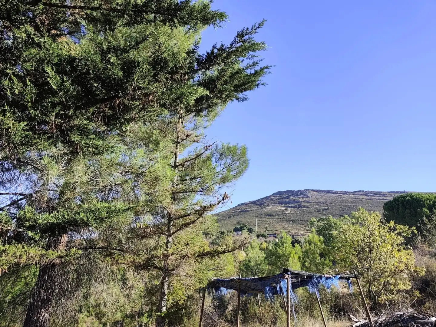 Casa o chalet en venta en Berzosa del Lozoya con Jardín privado y Terraza
