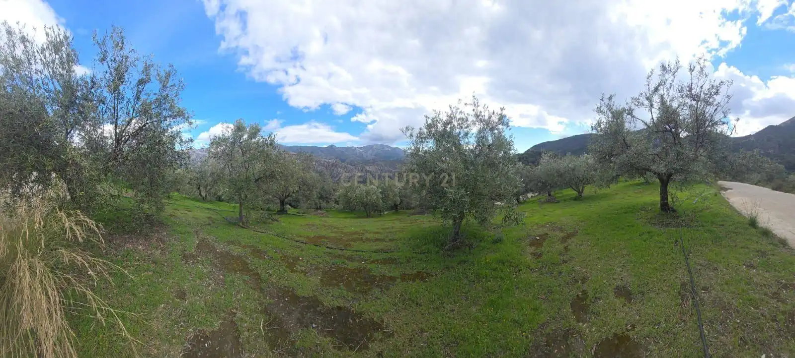 Terreno rustico in vendita a Polígono 11 Parcela 96 EL CERRILLAR. LOS GUAJARES (GRANADA), imagen 2