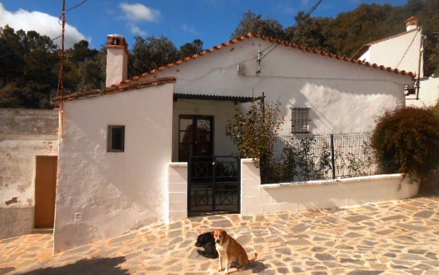 Exterior view of House or chalet for sale in Almonaster la Real  with Terrace