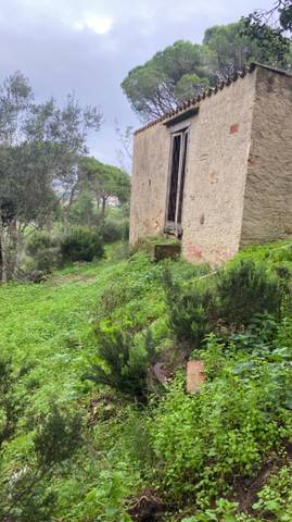 Finca rústica en Venta en Carretera Sant Amanç, 2 en Mas Trempat - Sant Amanç - Casa Nova