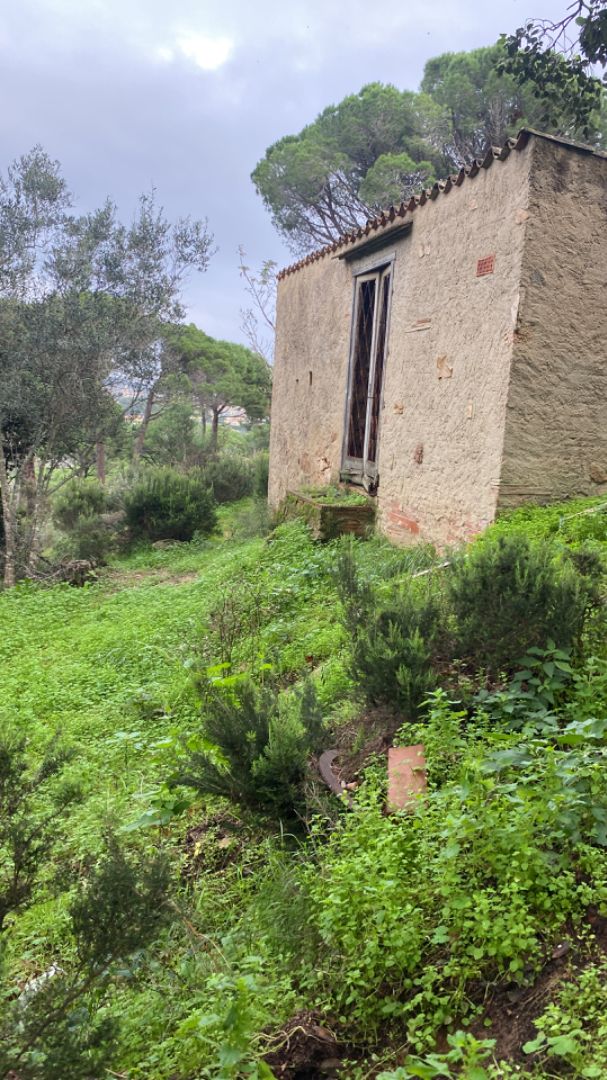 Finca rústica en venda a Carretera Sant Amanç, 2, Mas Trempat - Sant Amanç - Casa Nova