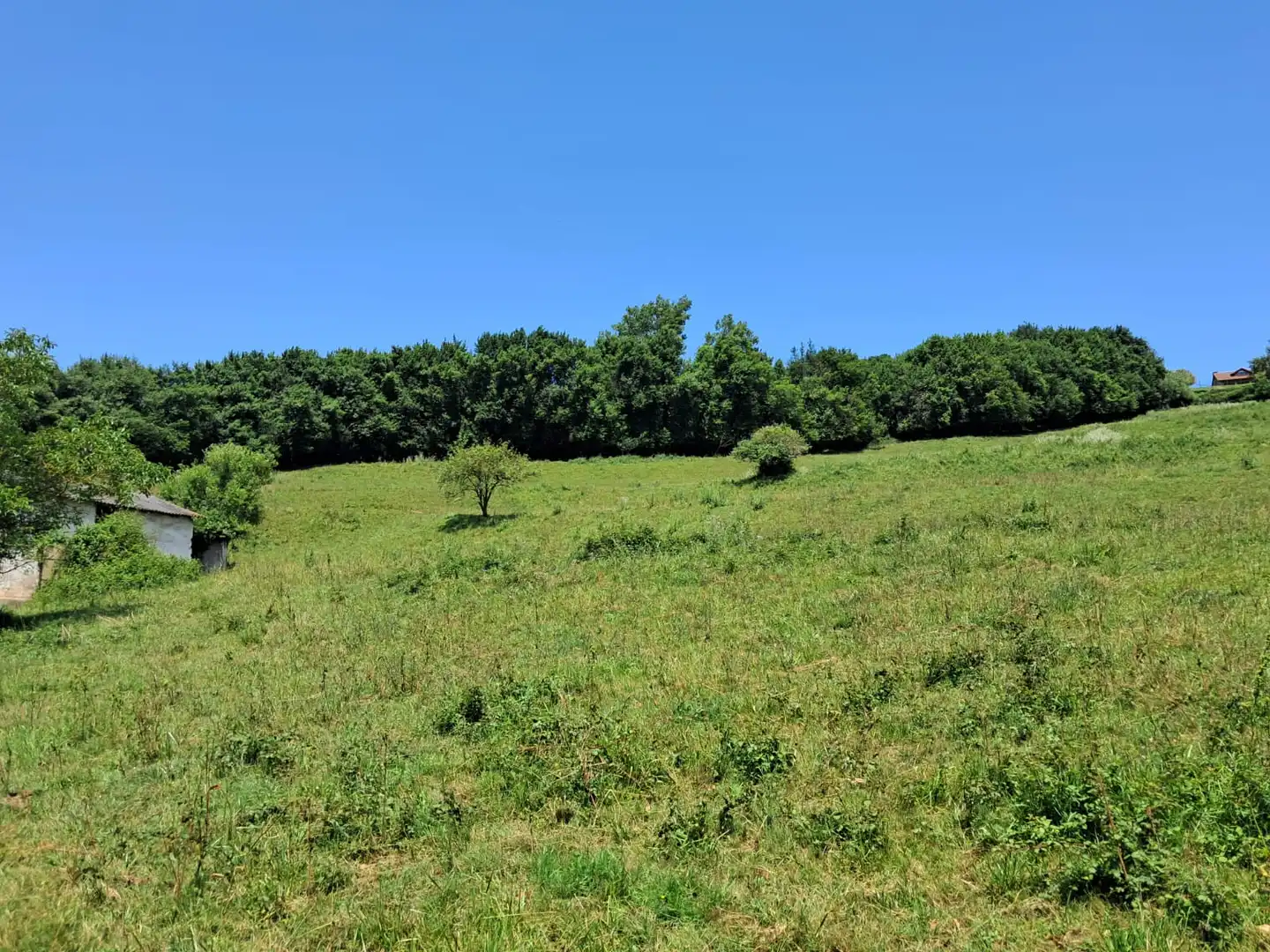Residential for sale in Carreño