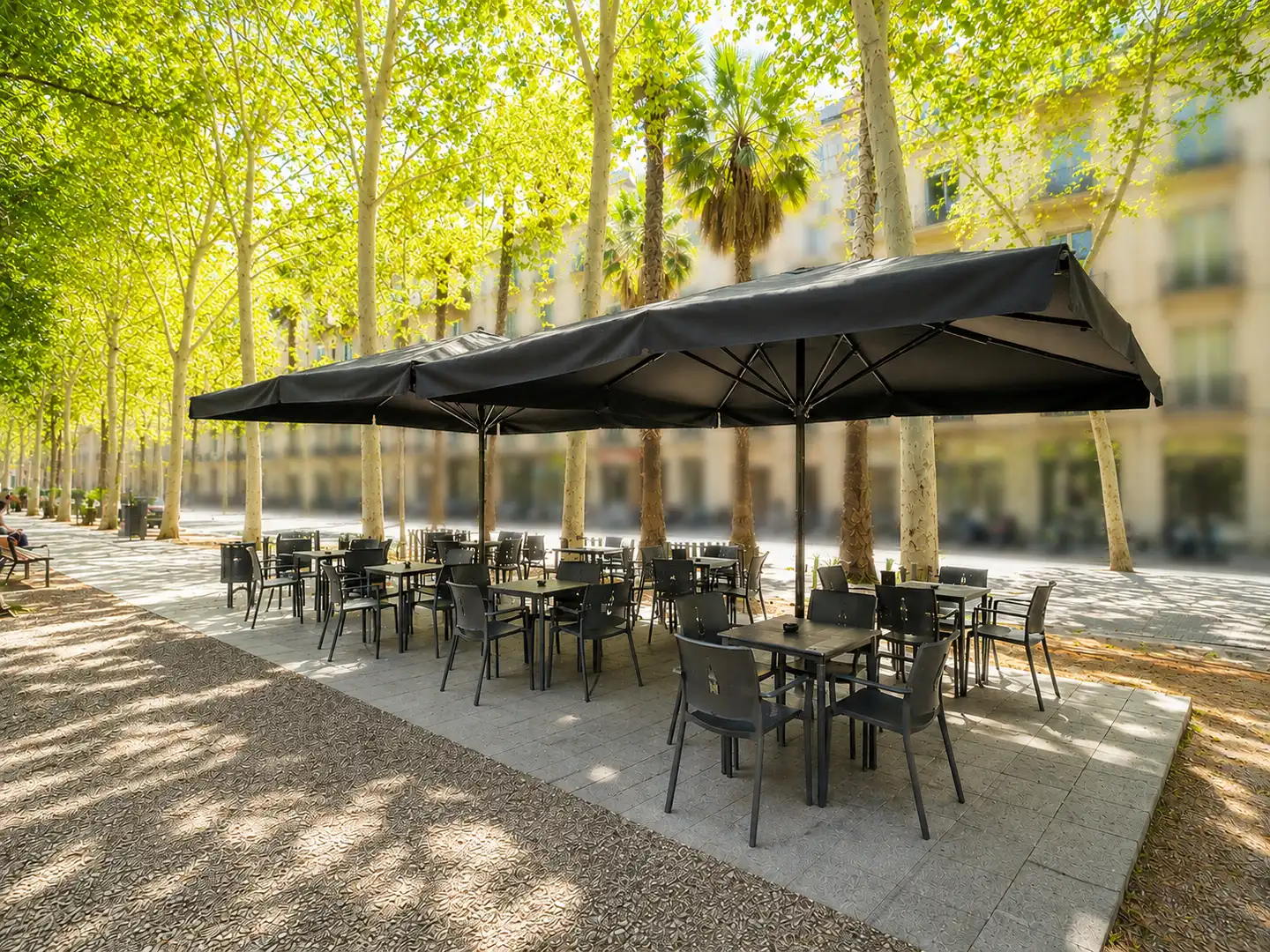Business premises for transfer in Ciutat Vella