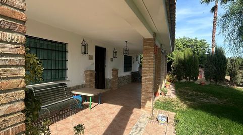 Foto 3 de Casa o chalet en venta en Pedanías Norte, Utrera