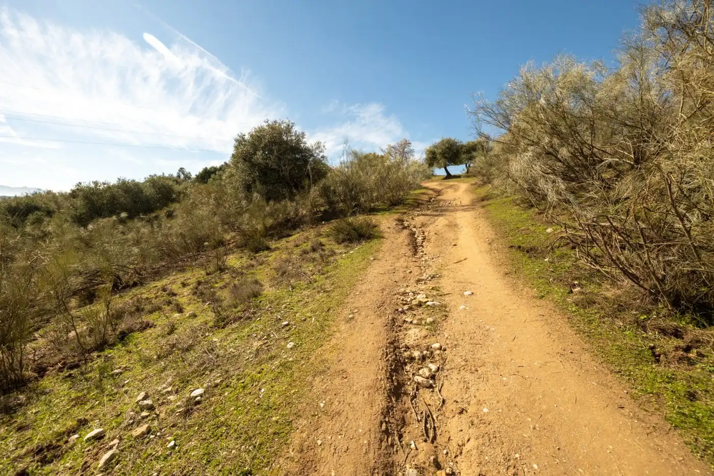 Country house for sale in Albaicín, imagen 33