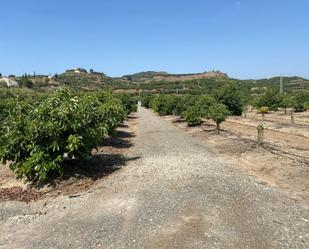 Finca rústica en venda en Vélez-Málaga