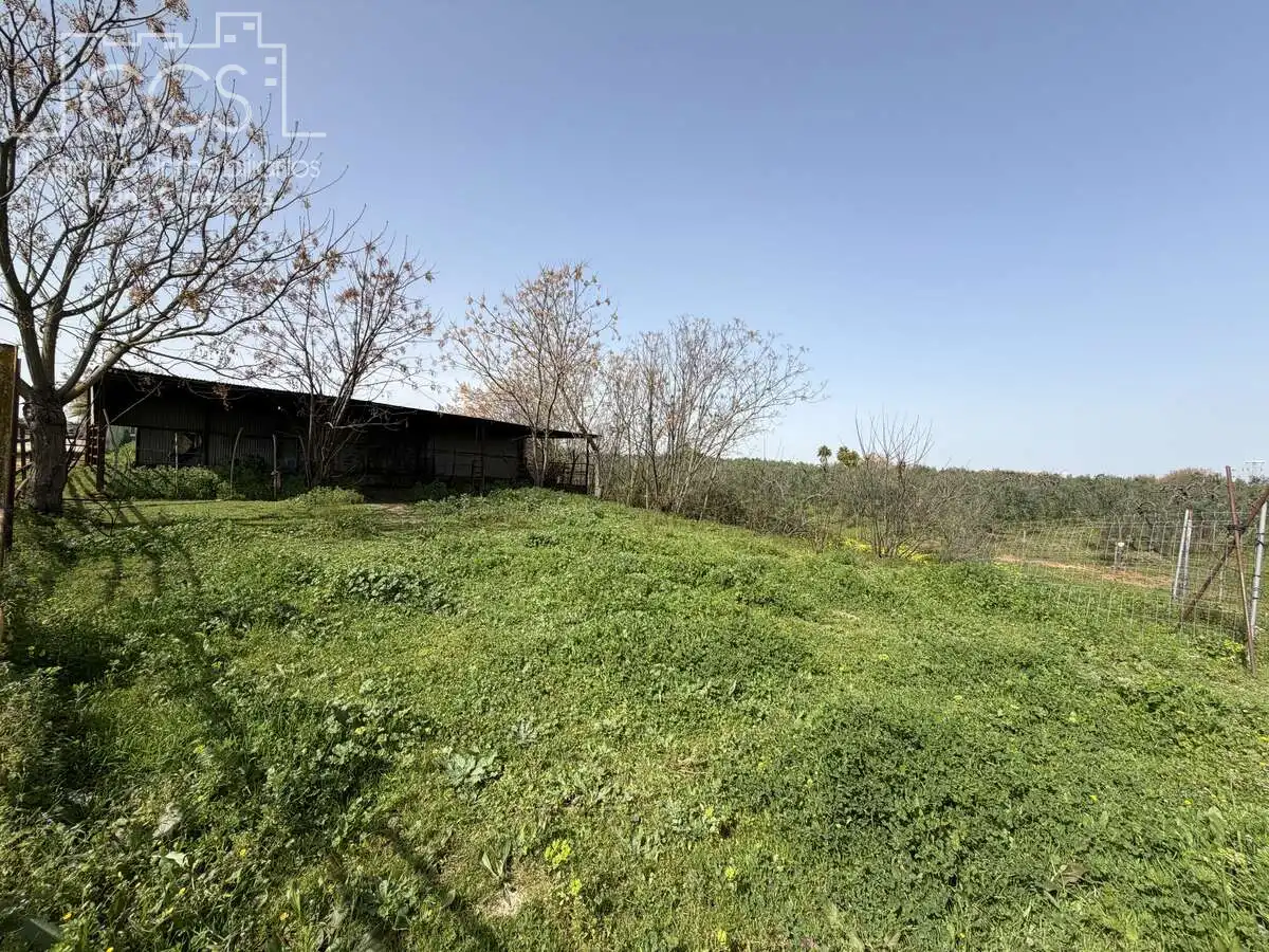 Country homes for sale in Pilas  with Swimming Pool