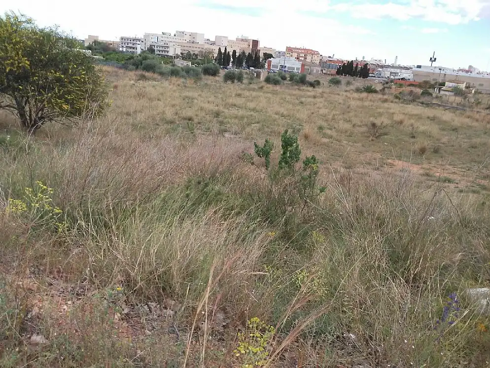 Terreno rustico in vendita a C/ Bovalar Polg, imagen 8