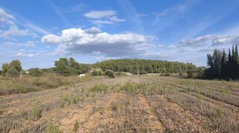 Finca de cultivo zona tranquila, immagine 3