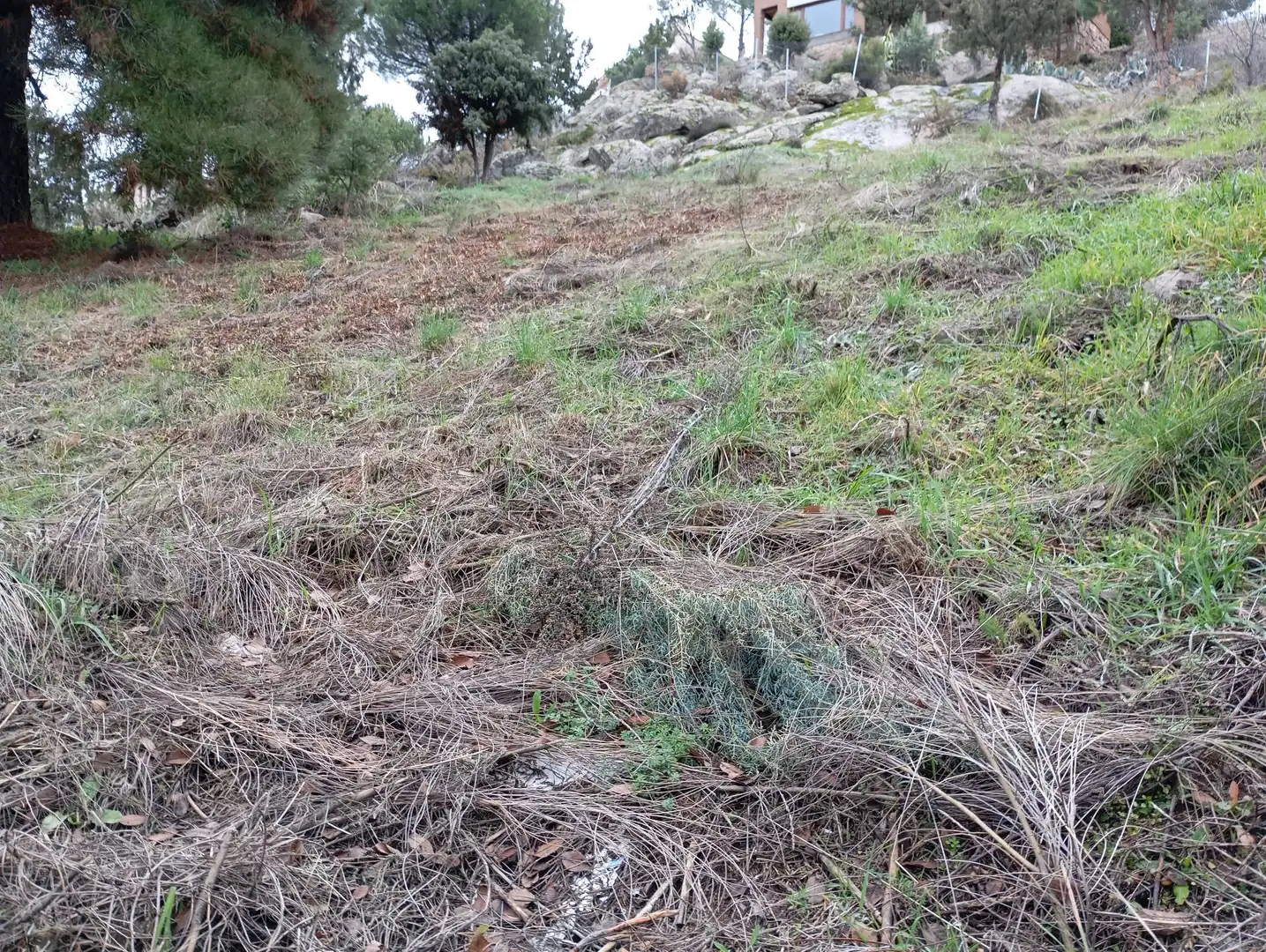 Terreni e lotti in vendita a Robledo de Chavela, imagen 4