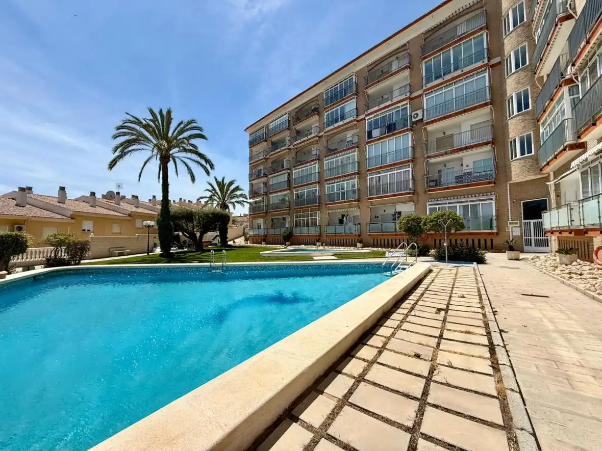 Piscina de Apartamento en venta en Elche / Elx con Calefacción, Terraza y Piscina
