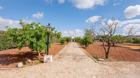Foto 3 de Casa o chalet en venta en Villanueva del Rosario, Málaga