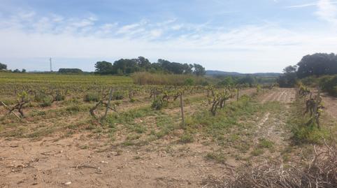 Foto 2 de Finca rústica en venda a Renau, Tarragona