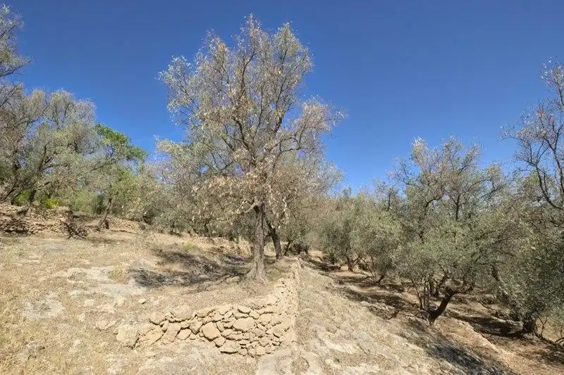 Terreno rustico in vendita a El Pinar, imagen 23
